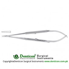 Micro Needle Holder Straight - Delicate Stainless Steel, 23 cm - 9"